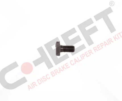 Bolt M10 x 1,25 x 20 mm