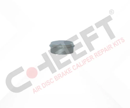 Steel Cap &Oslash;42,10 x 17 mm